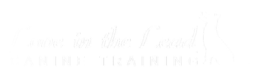 Love in the Lead